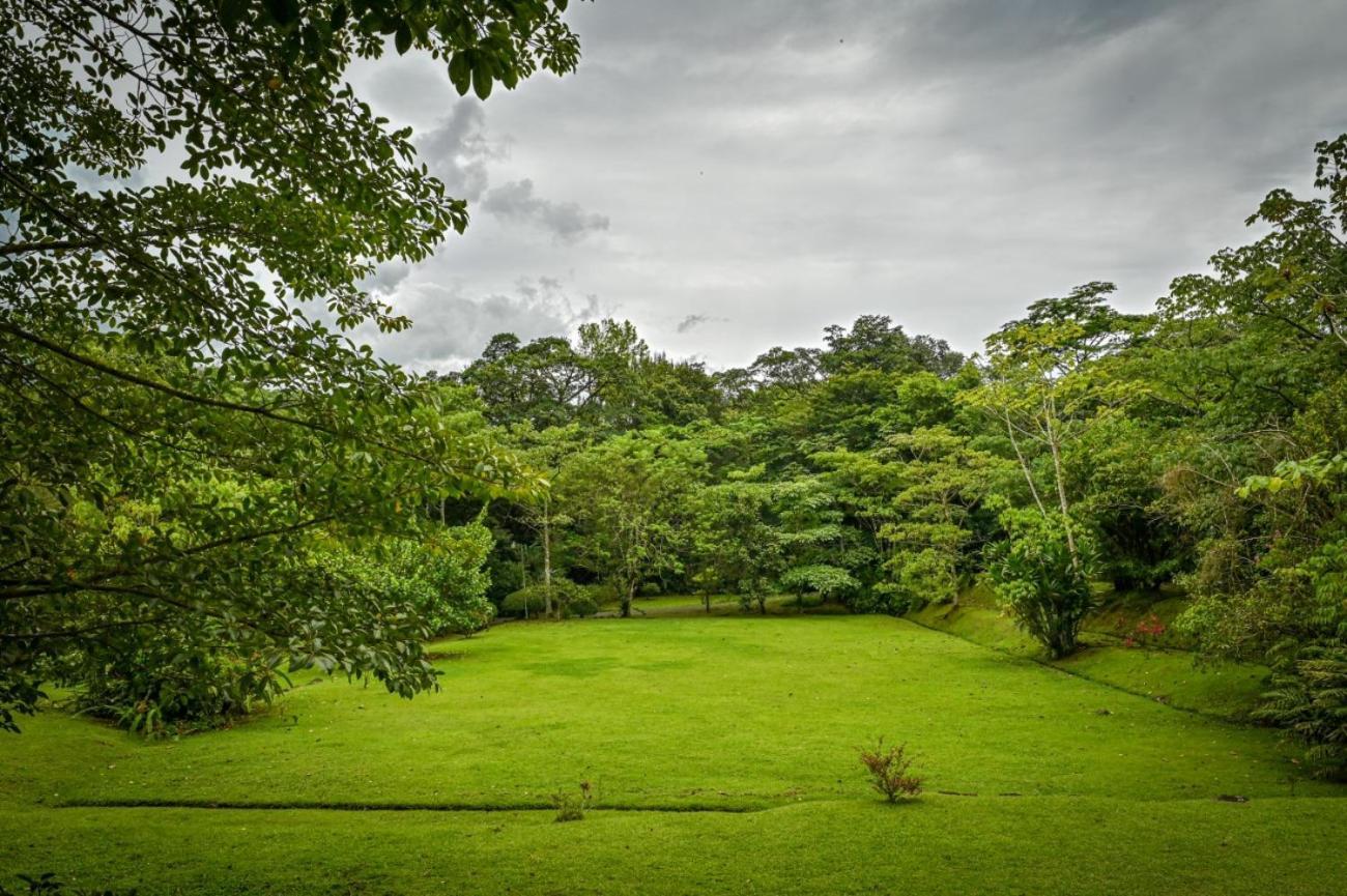 Lands In Love Hotel And Resort Colonia Palmarena Exterior photo