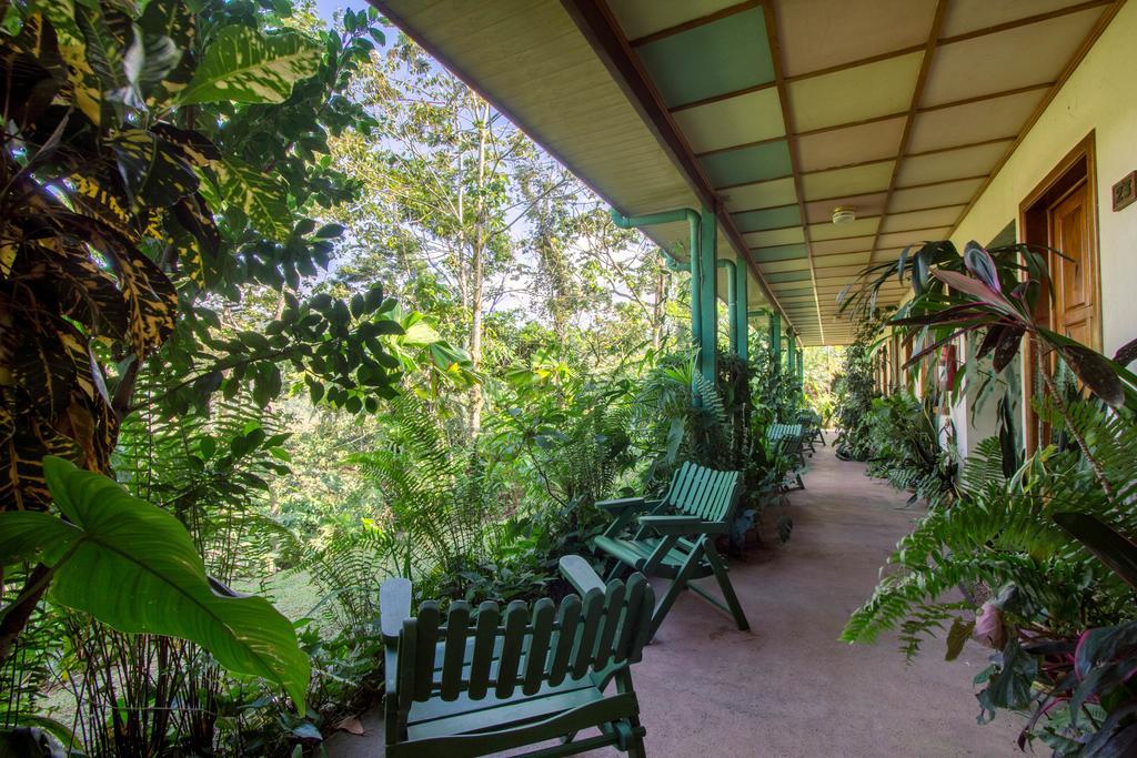 Lands In Love Hotel And Resort Colonia Palmarena Exterior photo