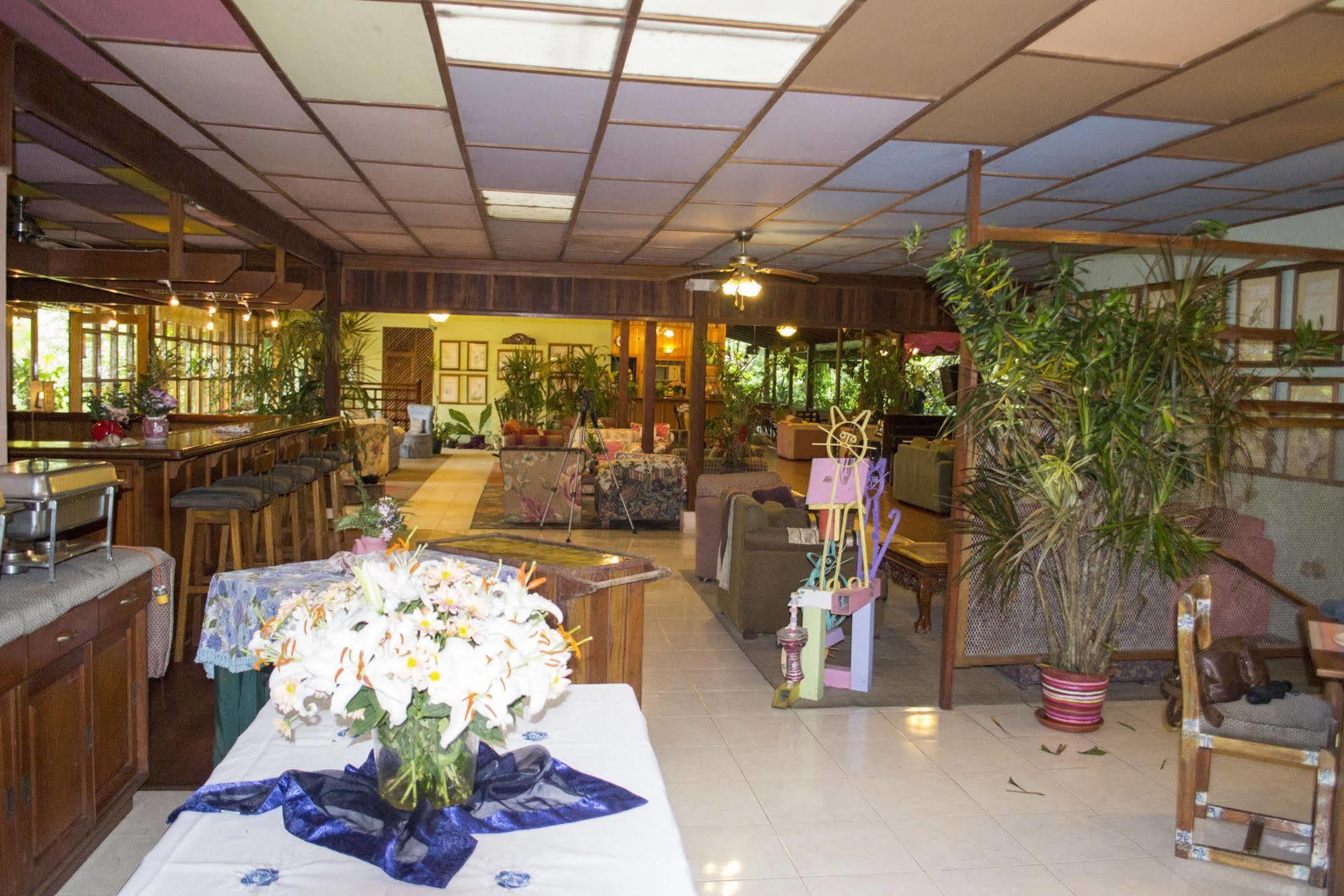 Lands In Love Hotel And Resort Colonia Palmarena Exterior photo
